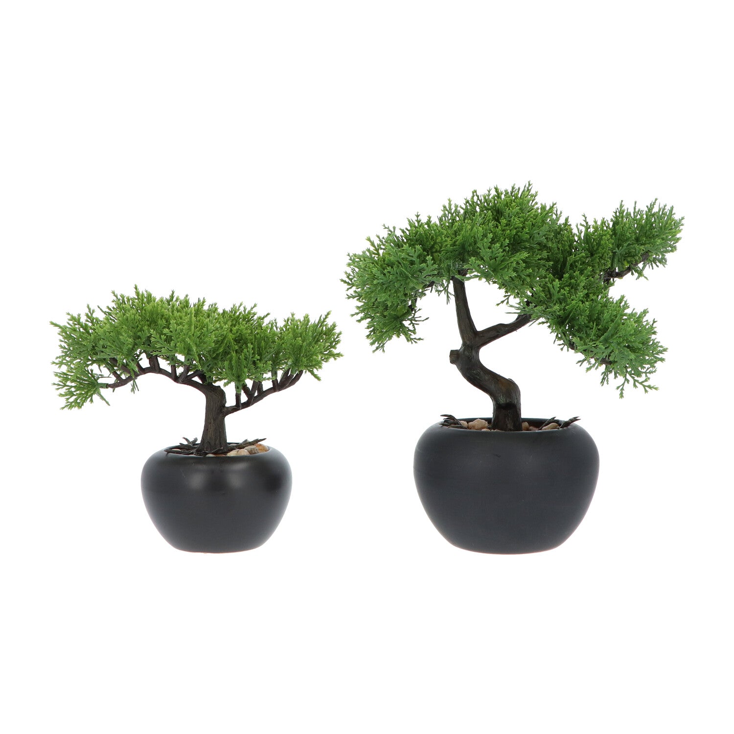 Kopu® 2 stuks Kunstplant Bonsai boompje Ceder 19 en 25 cm met Pot
