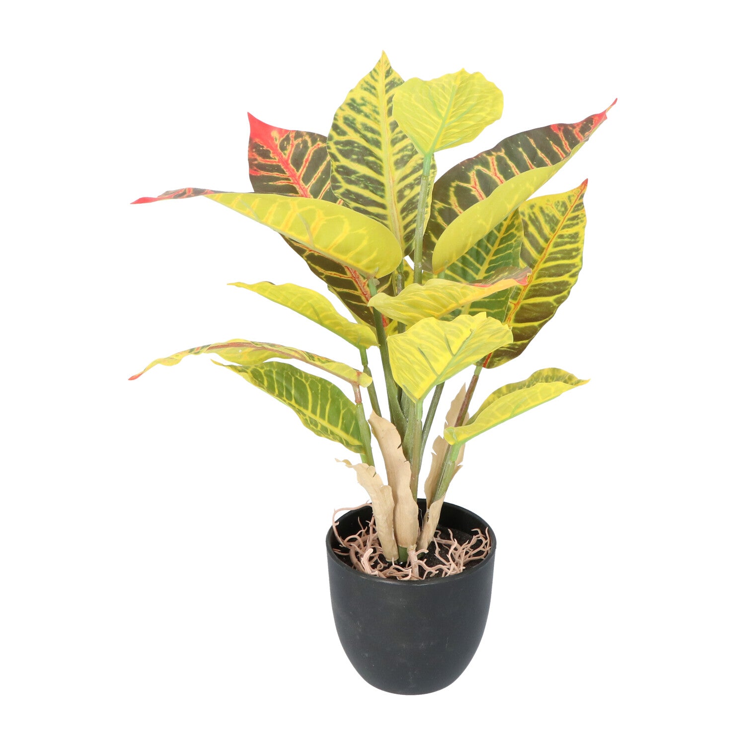 Kopu® 2 stuks Kunstplant Croton 35 cm - 14 bladeren - in zwarte pot