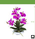Kopu® Kunstbloem Orchidee 41 cm Paars met Bloemschaal - Phalaenopsis