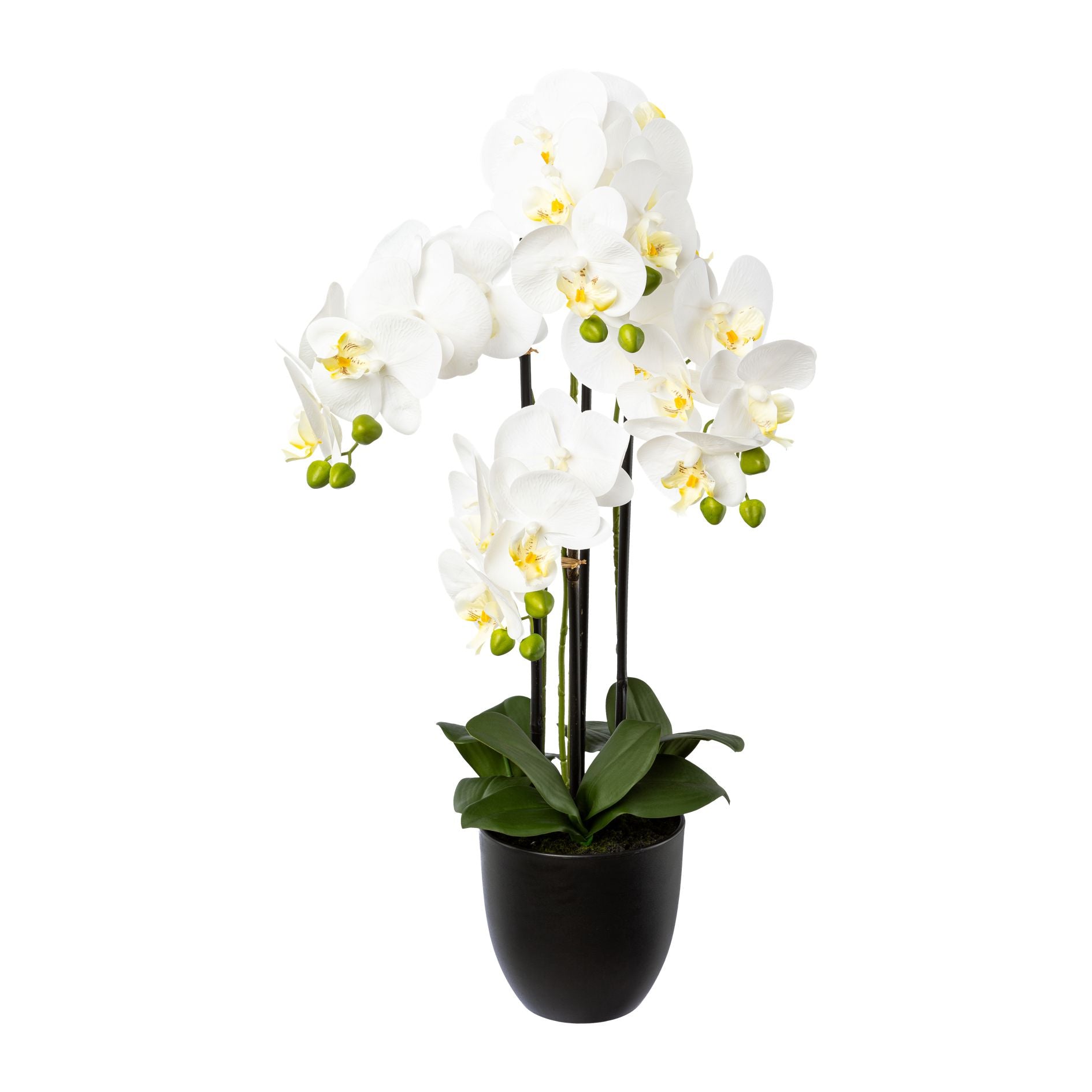 Kopu® Kunstbloem Orchidee 69 cm Wit met zwarte Pot - Phalenopsis