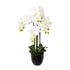 Kopu® Kunstbloem Orchidee 69 cm Wit met zwarte Pot - Phalenopsis