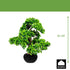Kopu kunstmatige bonsaiboom van larikshout, 60 cm hoog, met zwarte pot - Bonsaiboom