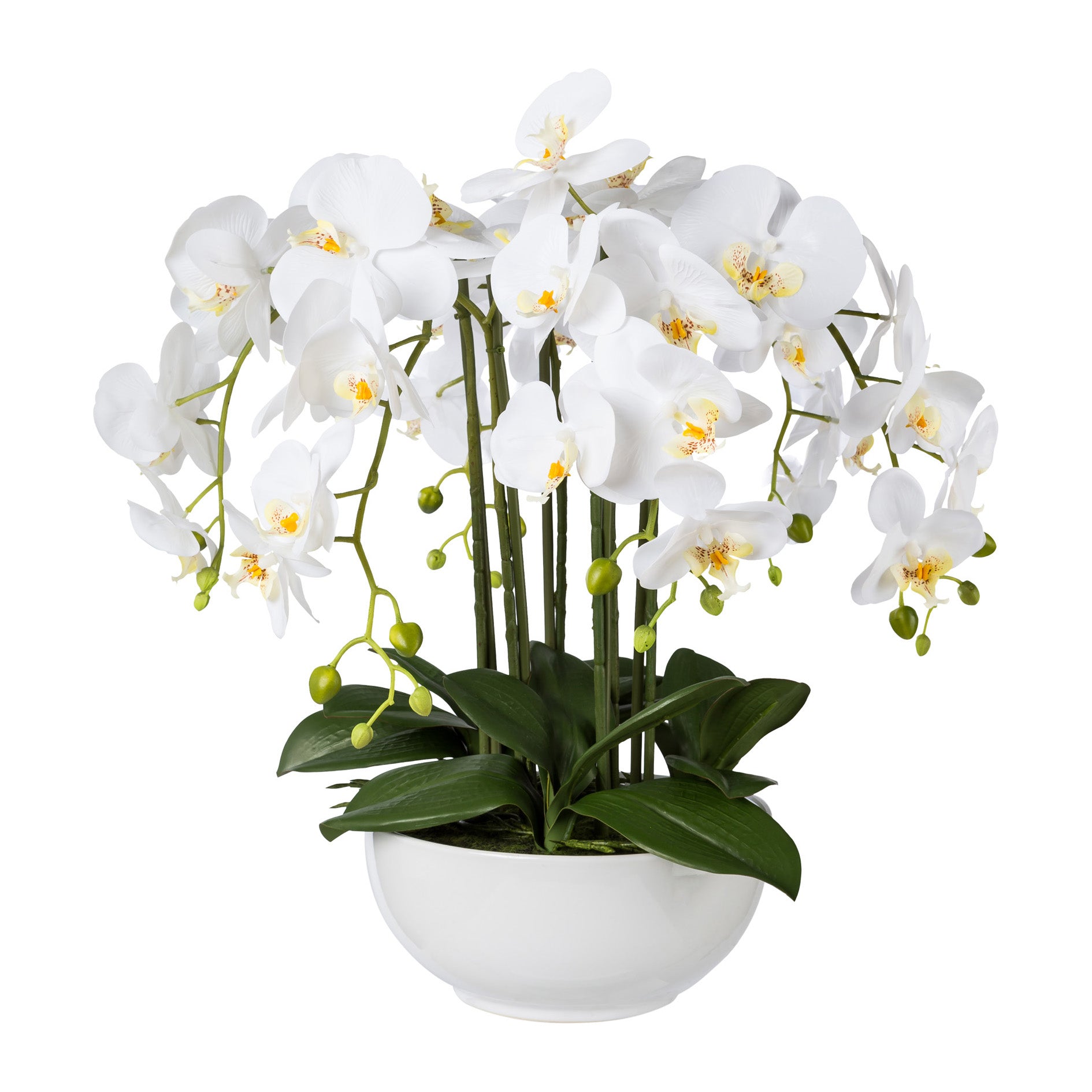 Kopu® Kunstbloem Orchidee 54 cm Wit met Schaal - Phalenopsis