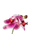 Kopu® Set 2 stuks Kunstplant Mini Orchidee 27 cm in witte Sierpot - Roze