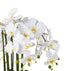 Kopu® Kunstbloem Orchidee 54 cm Wit met Schaal - Phalenopsis