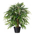 Kopu® Kunstplant Ficus Benjamina 80 cm in zwarte pot - Nepplant