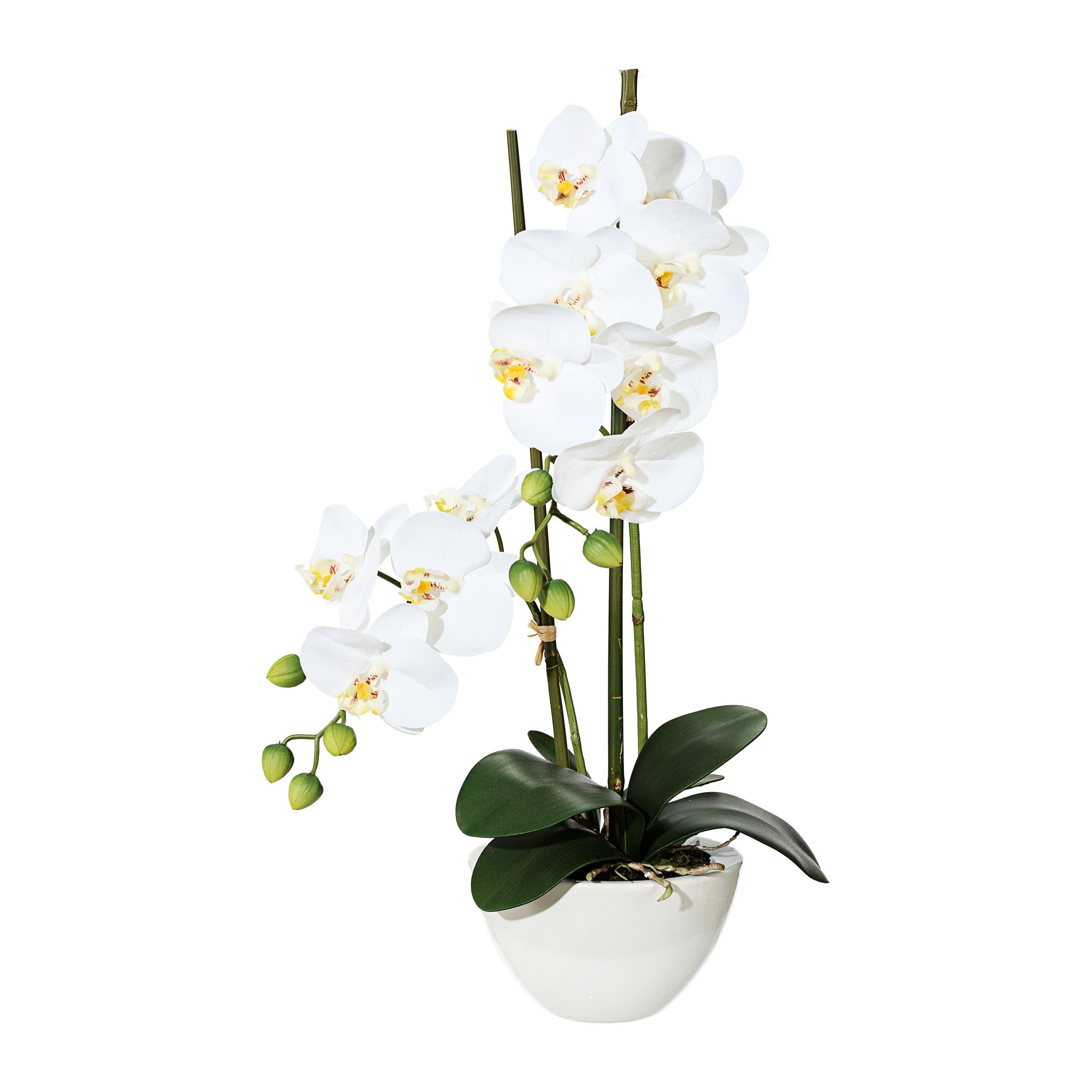 Kopu® Kunstbloem Orchidee 50 cm Wit met cement Sierpot - Phalenopsis