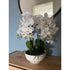 Kopu® Kunstbloem Orchidee 54 cm Wit met Schaal - Phalenopsis