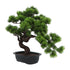 Kopu® Kunstpflanze Bonsai 40 cm Kiefer mit schwarzem Topf – Bonsai-Baum