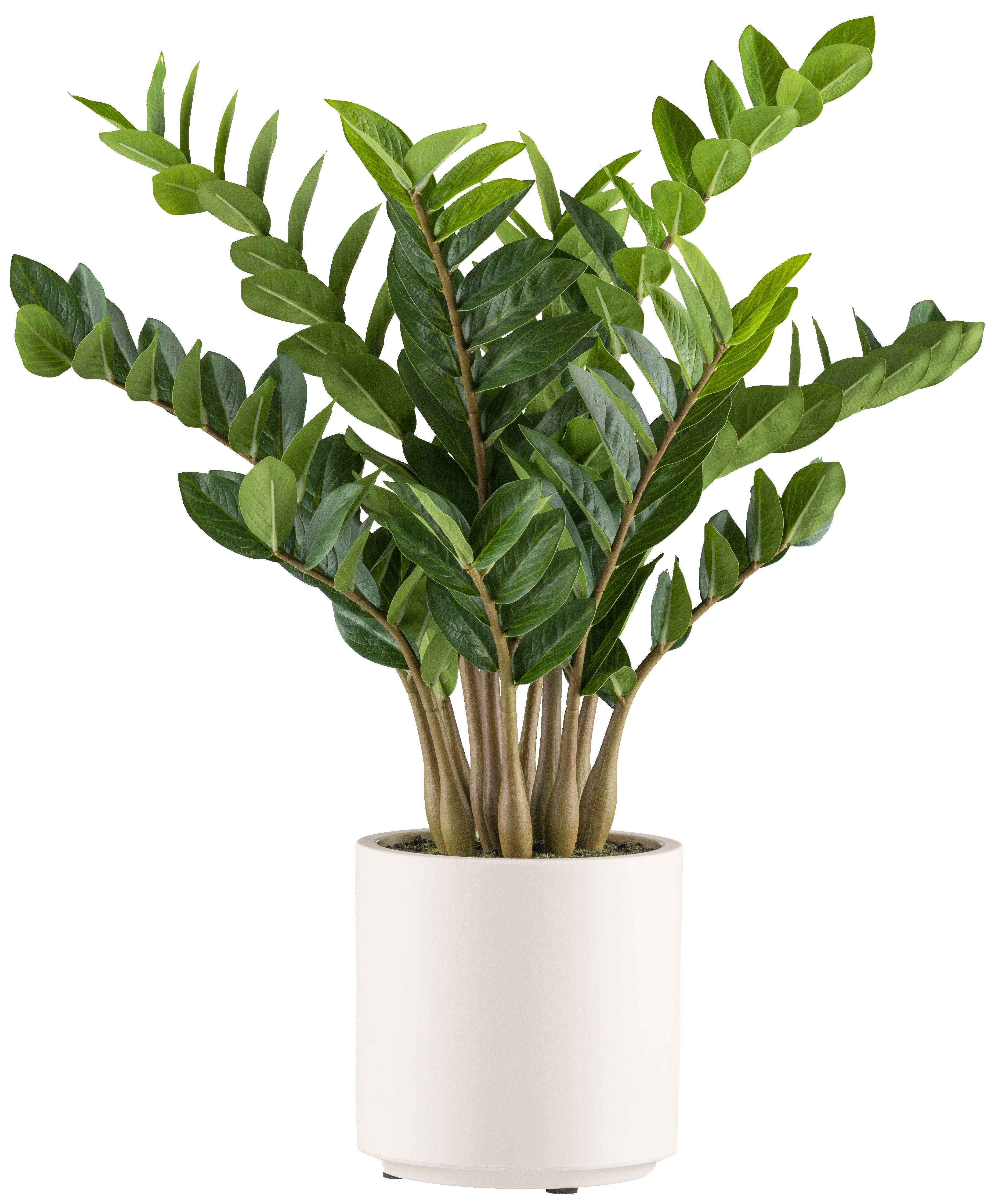 Kopu® Kunstplant Zamioculcas zamiifolia 80 cm