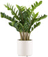 Kopu® Kunstplant Zamioculcas zamiifolia 80 cm