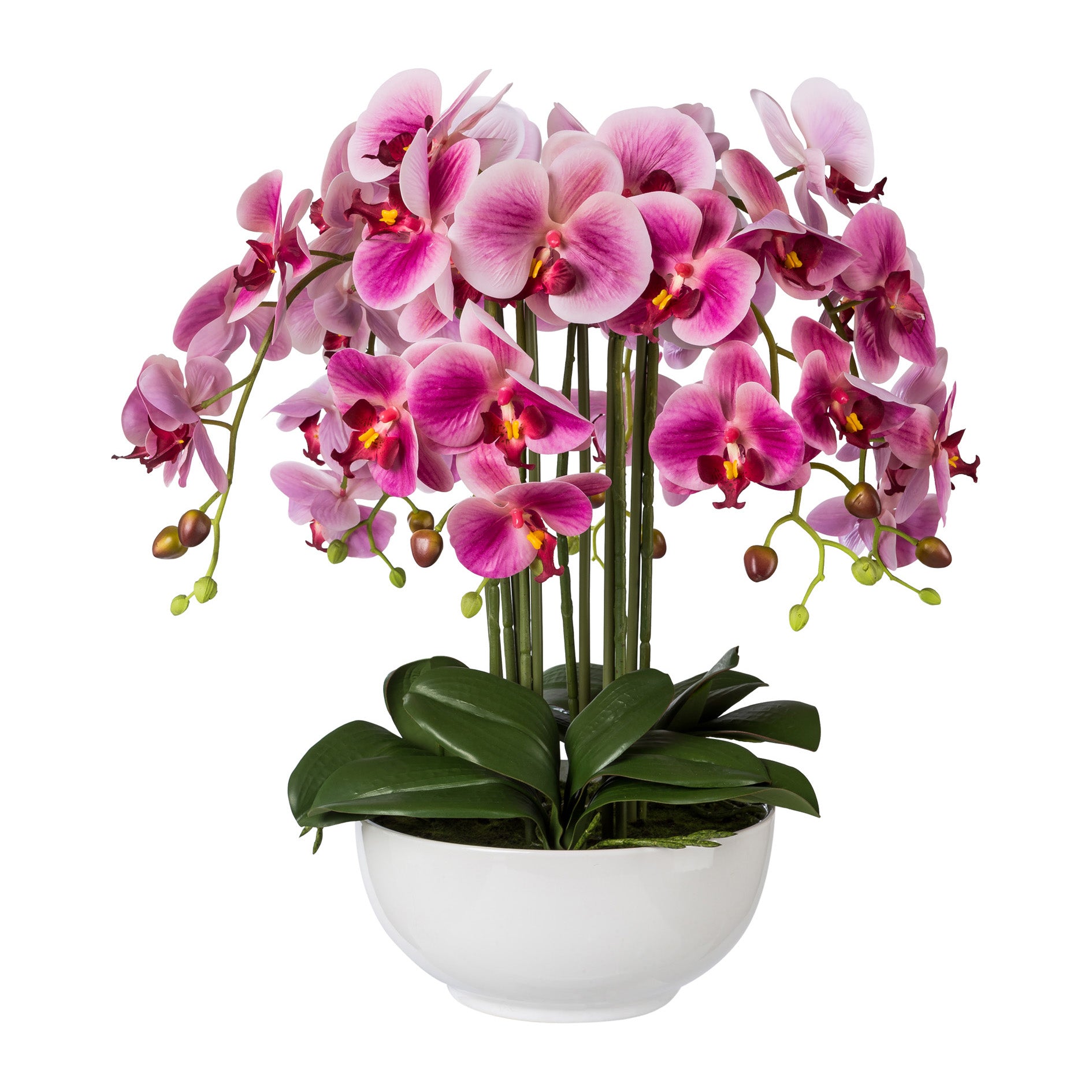 Kopu® Kunstbloem Orchidee 54 cm Roze met Schaal - Phalenopsis