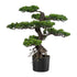 Kopu® Kunstplant Bonsai 65 cm - in zwarte Pot - Bonsai boompje