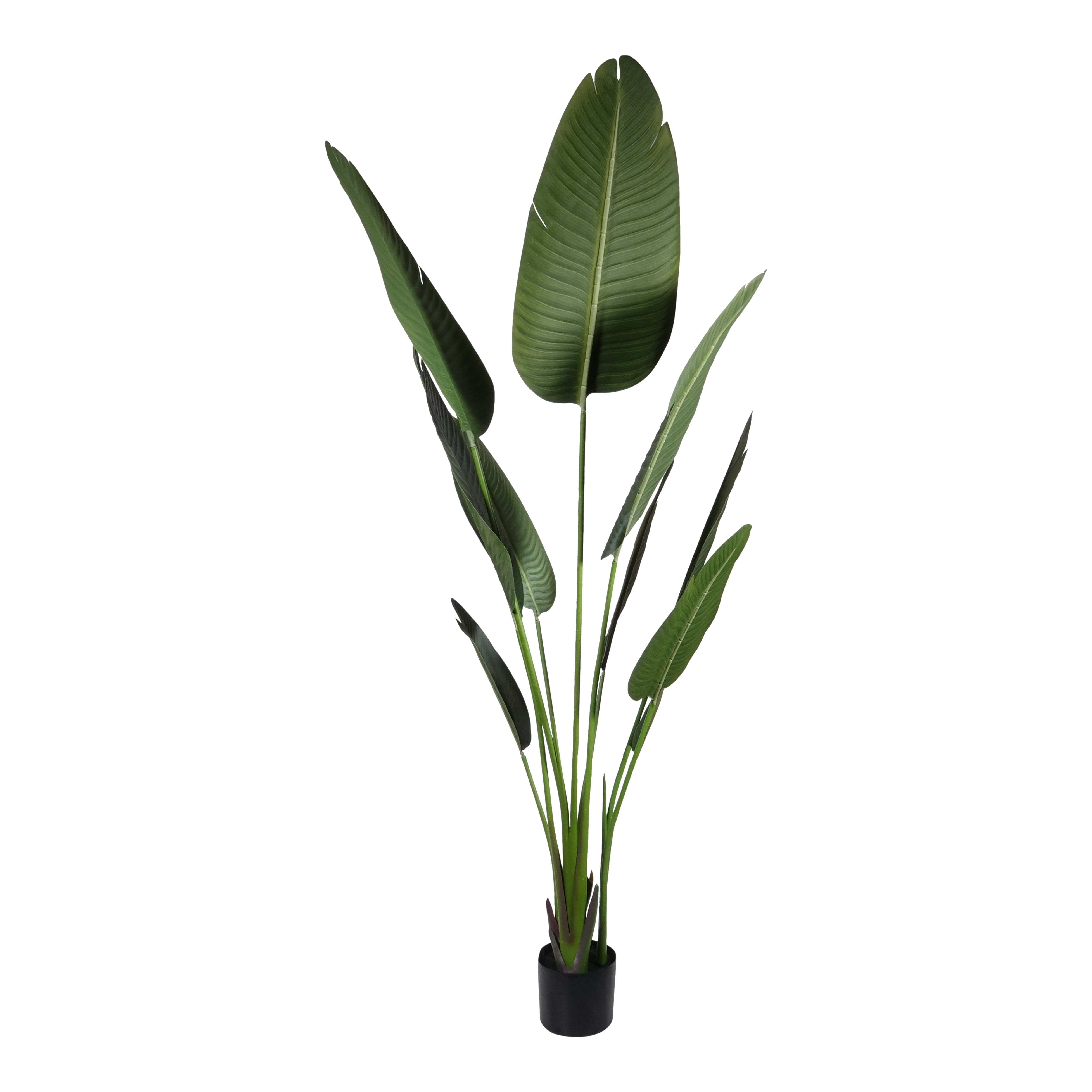 Kopu® Kunstplant Strelitzia Nicolai 160 cm Paradijsvogelplant 10 blad