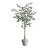 Kopu® Kunst olijfboom, 150 cm hoog, met 495 bladeren en een pot