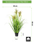 Kopu® Kunstplant Chinees Riet 90 cm - 3 pluimen - in zwarte pot
