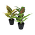 Kopu® set 3 verschillende kunstplantjes 25 cm hoog