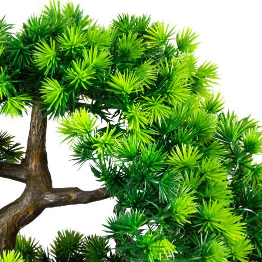 Kopu kunstmatige bonsaiboom van larikshout, 60 cm hoog, met zwarte pot - Bonsaiboom