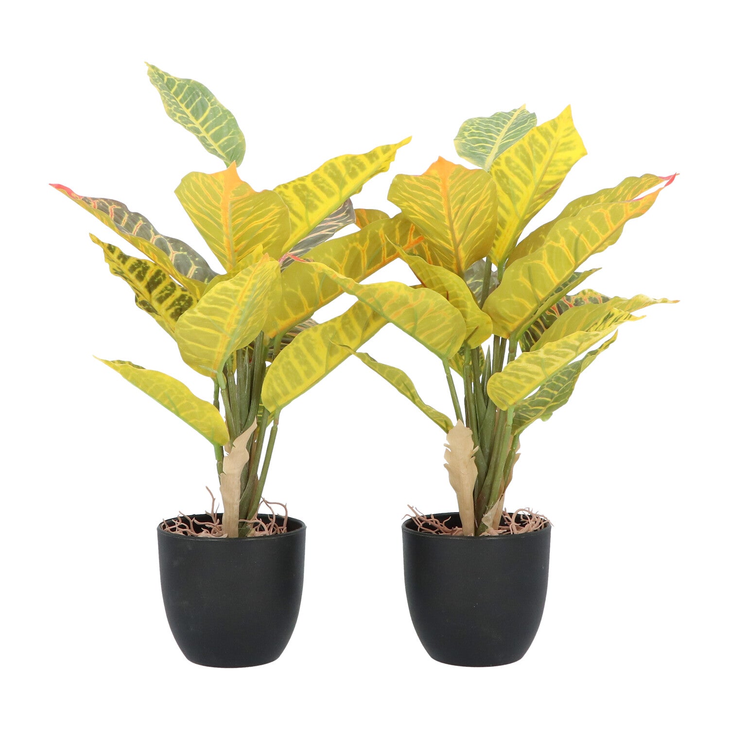 Kopu® 2 stuks Kunstplant Croton 35 cm - 14 bladeren - in zwarte pot