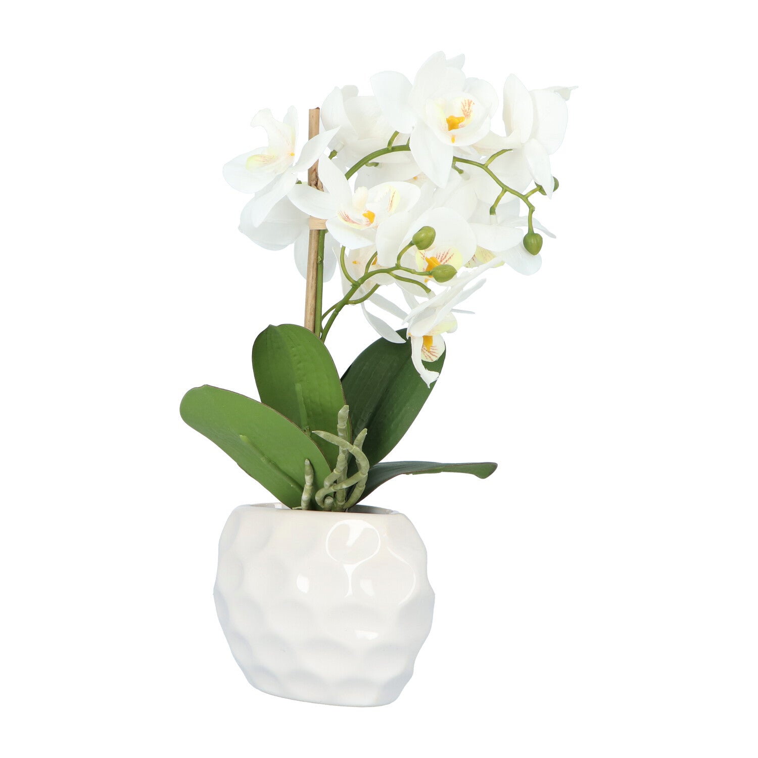 Kopu® Kunstplant Orchidee 33 cm in witte Sierpot 13x9cm - Wit