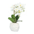 Kopu® Kunstplant Orchidee 33 cm in witte Sierpot 13x9cm - Wit
