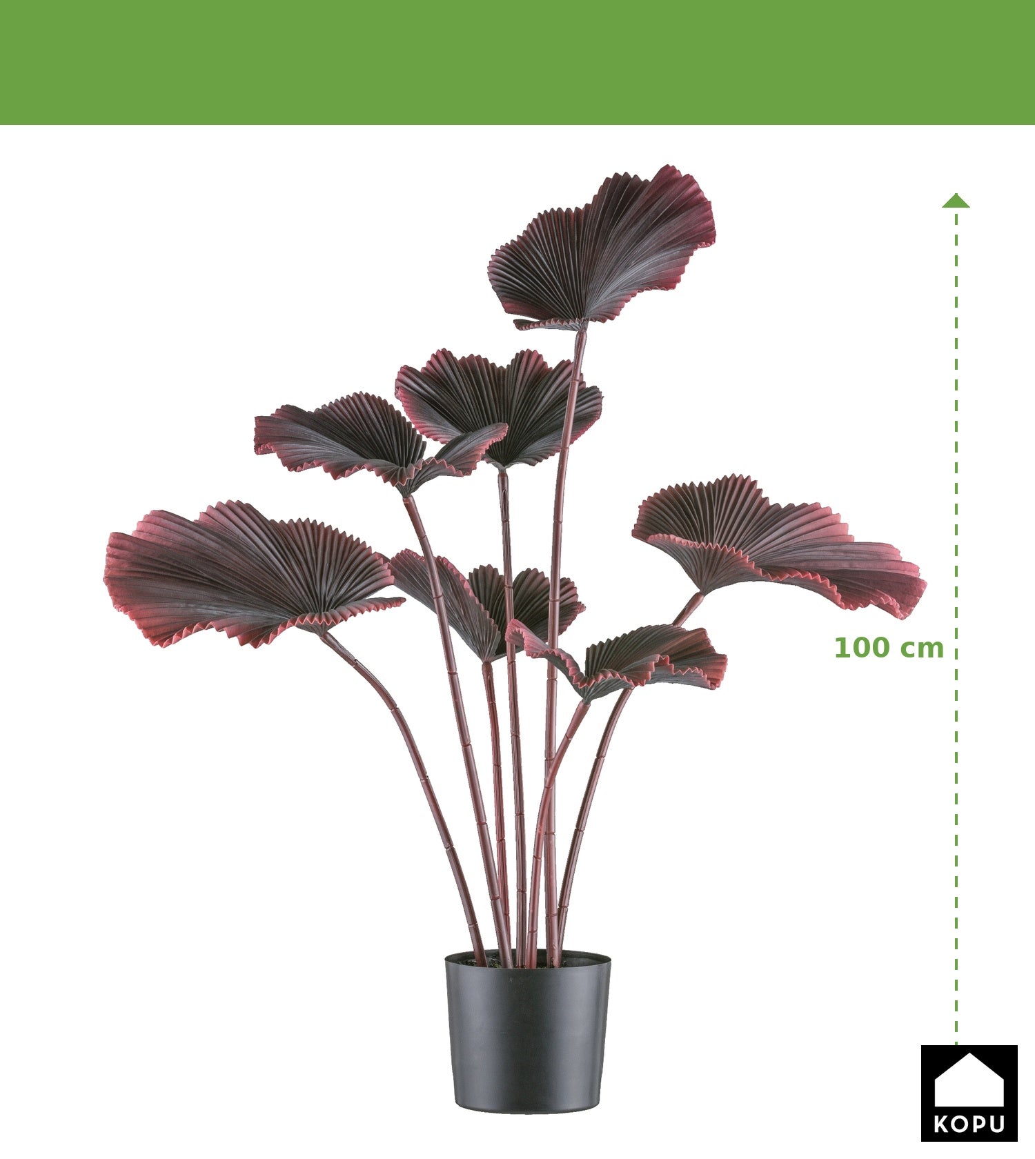 Kopu® palmboom 100 cm donkerrood in een zwarte plastic pot - Kamerplant