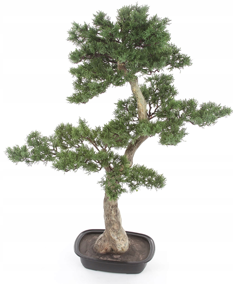 Kunstmatige cederbonsai Kopu - ca. 100 x 60 cm - in een zwarte plastic pot