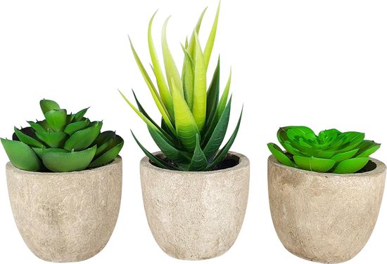 GreenDream® 3 stuks Kunstplanten - Nep planten Vetplanten - Cadeautip