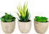 GreenDream® 3 stuks Kunstplanten - Nep planten Vetplanten - Cadeautip