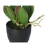 Kopu® Kunstbloem Orchidee 69 cm Wit met zwarte Pot - Phalenopsis