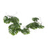 Kopu® Hangplant Split Philodendron 119 cm - Macramé Plantenhanger XL