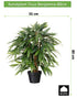 Kopu® Kunstplant Ficus Benjamina 80 cm in zwarte pot - Nepplant