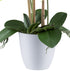 Kopu® Kunstbloem Orchidee 62 cm Wit met witte Pot - Phalenopsis