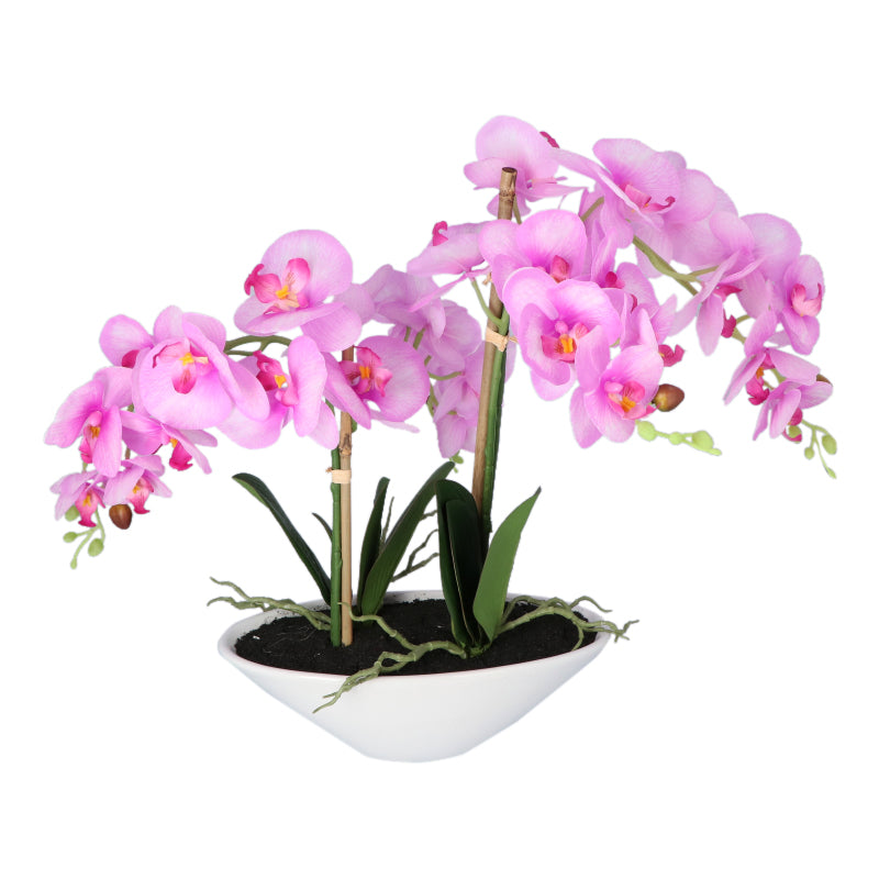 Kopu® Kunstbloem Orchidee 53 cm Roze met Schaal Ovaal - Phalenopsis