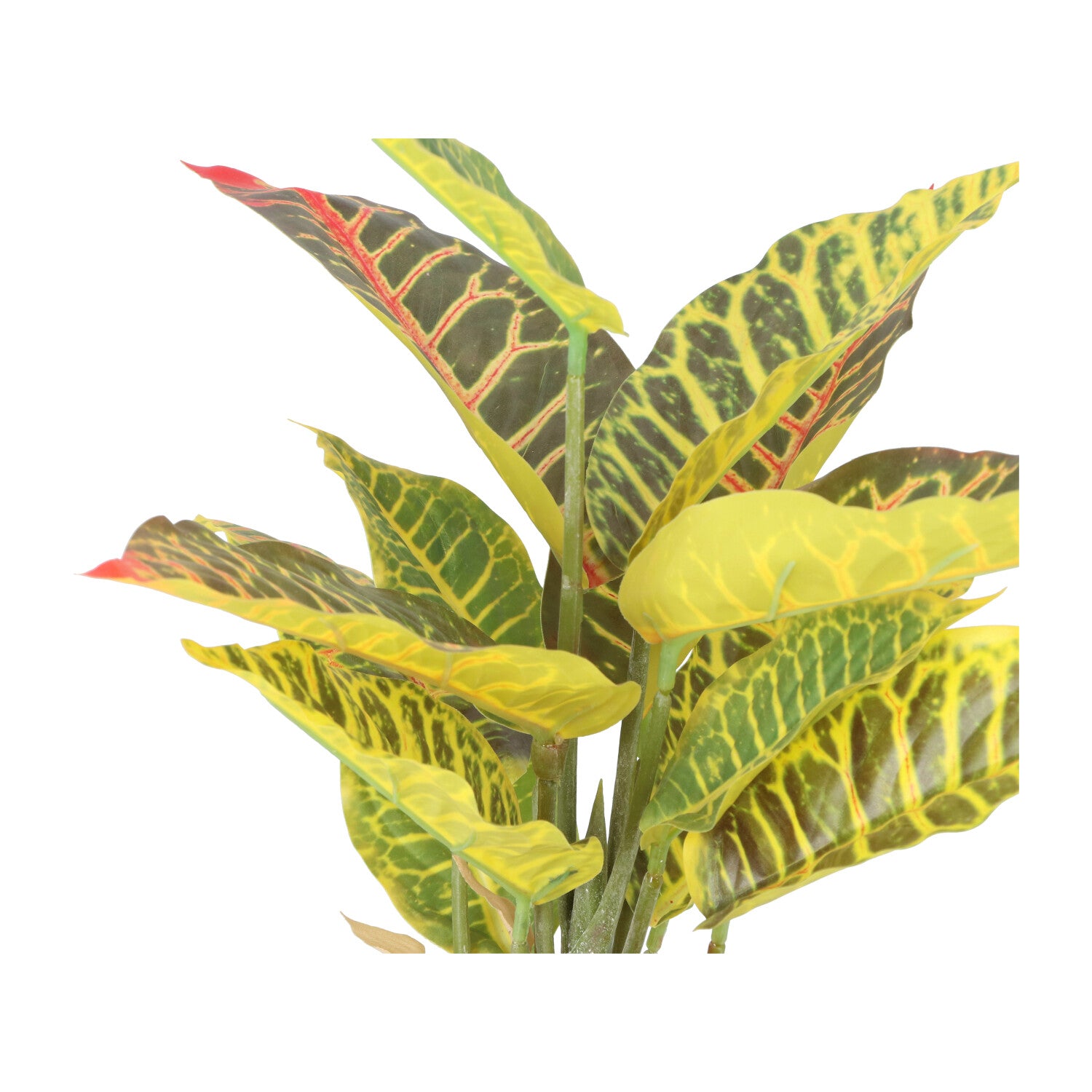 Kopu® 2 stuks Kunstplant Croton 35 cm - 14 bladeren - in zwarte pot