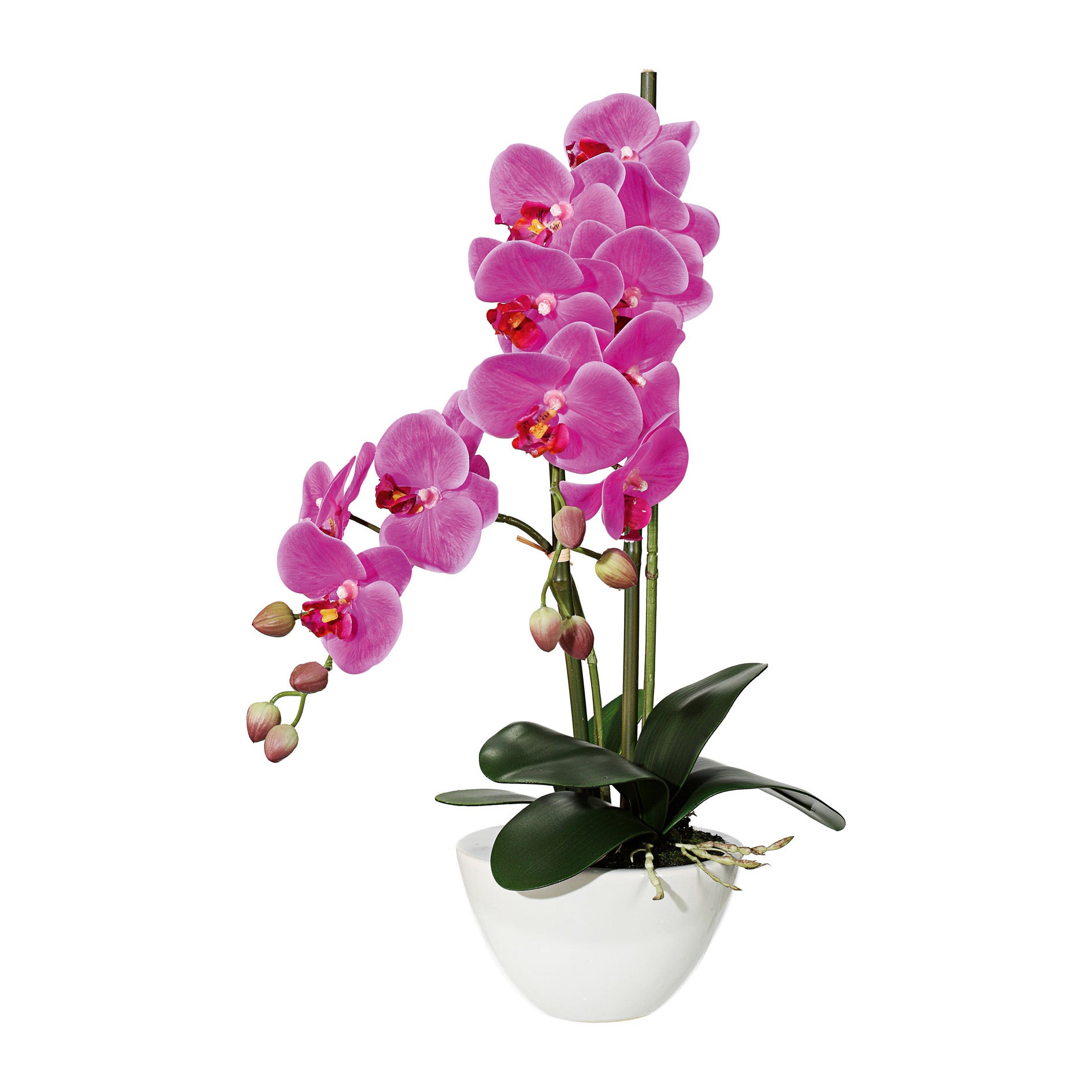 Kopu® Kunstbloem Orchidee 50 cm Paars met cement Sierpot - Phalenopsis