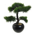 Kopu Kunstmatige Cederbonsai 37 cm met Zwarte Pot - Bonsaiboom
