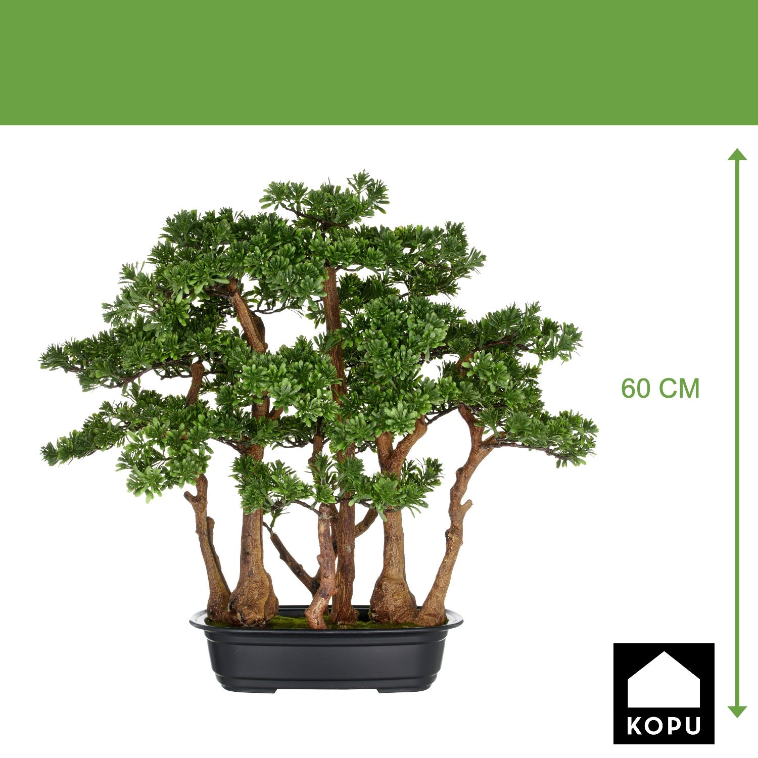 Kopu thee bonsai met 7 stammen - 60 x 60 cm - in een zwarte plastic pot