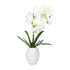 Kopu® Kunstplant Orchidee 33 cm in witte Sierpot 13x9cm - Wit