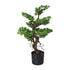 Kopu® Kunstplant Bonsai 65 cm - in zwarte Pot - Bonsai boompje