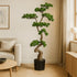 Kopu Kunst Bonsai den Circa 125 X 50 cm - In Een Zwarte Plastic Pot.