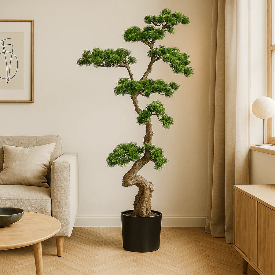 Bonsai van een kopu-den - circa 70 x 45 cm - in een zwarte plastic pot.