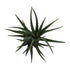 Kopu Kunstplant Aloe Vera 48 cm in binnenpot met aarde - 30 bladeren