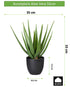 Kopu® Kunstpflanze Aloe Vera 55 cm im schwarzen Blumentopf - 17 Blätter