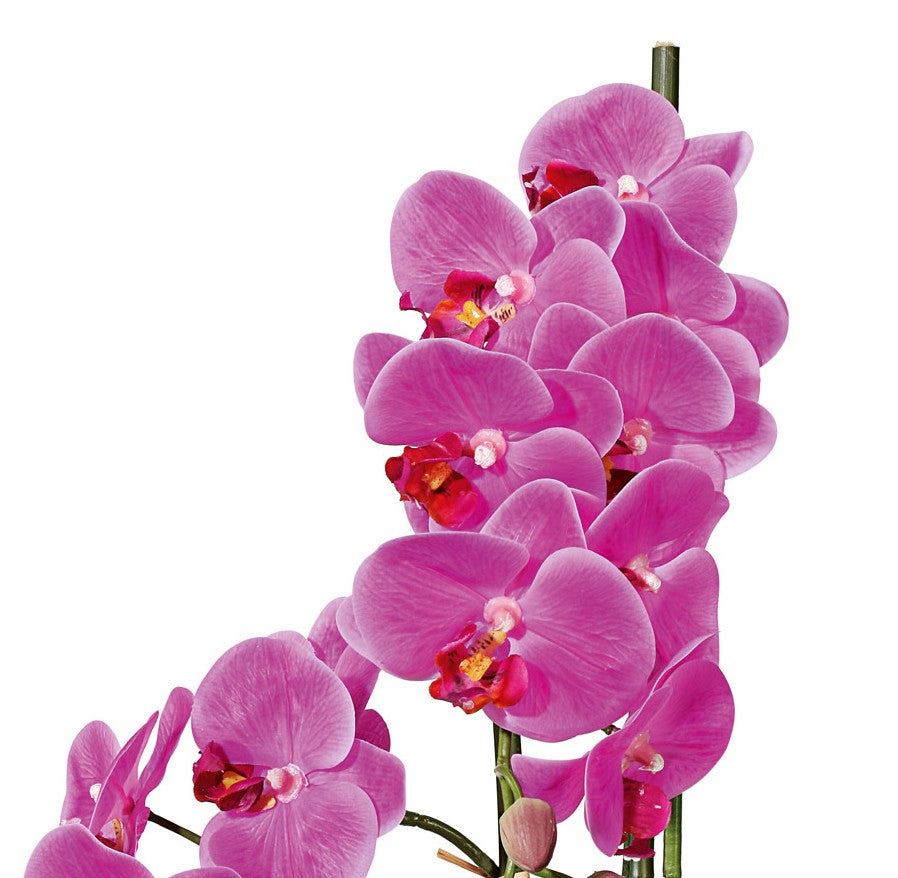 Kopu® Kunstbloem Orchidee 50 cm - cement Sierpot - Phalenopsis - Paars