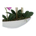 Kopu® Kunstbloem Orchidee 60 cm Roze met Schaal Ovaal - Phalaenopsis
