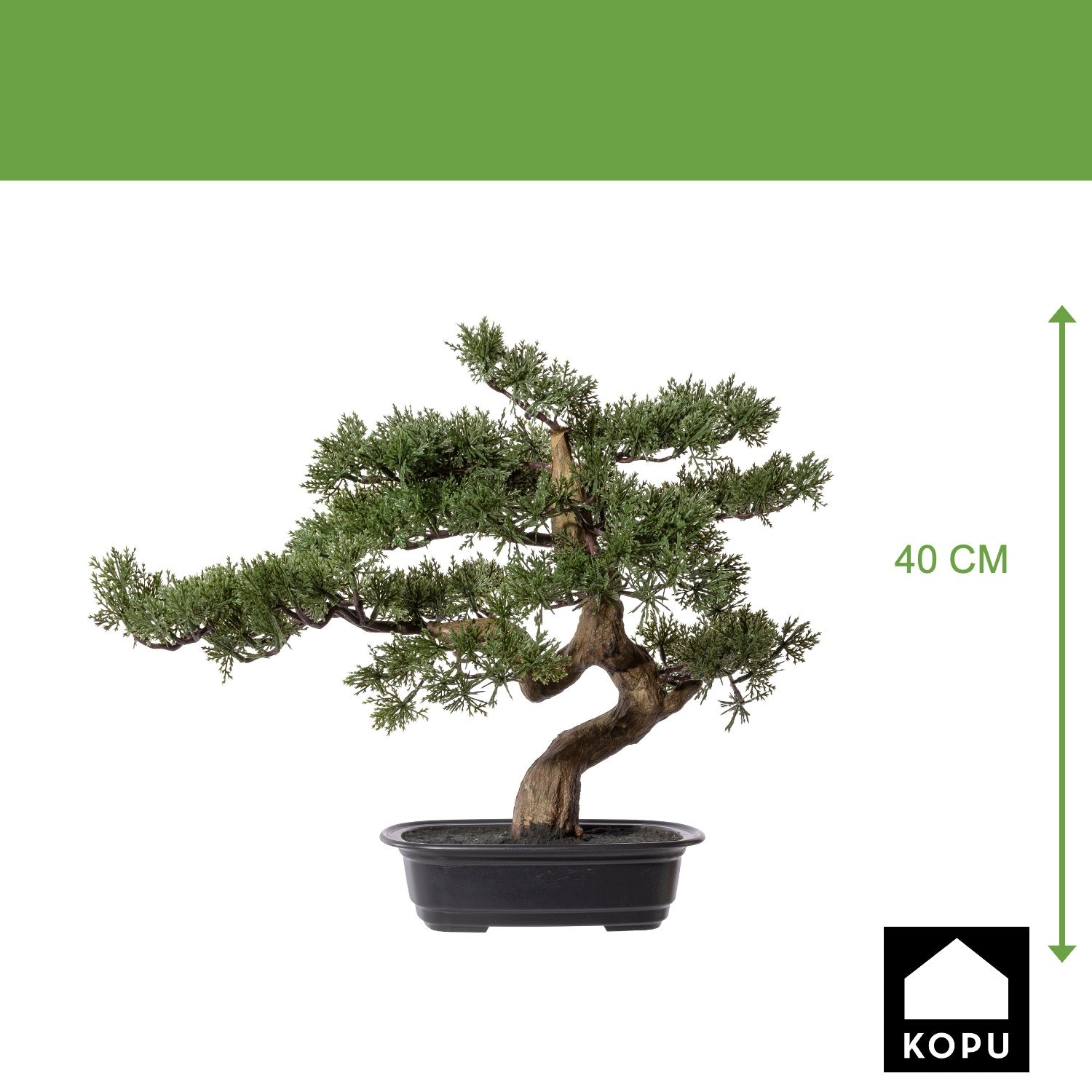 Bonsai Kopu Cedar, ca. 40x40 cm - in een zwarte plastic pot