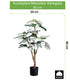 Kopu® Kunstplant Monstera Variegata 80 cm - 21 bladeren - Gatenplant