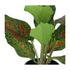 Kopu® set 3 verschillende kunstplantjes 25 cm hoog