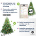 Kerstboom Excellent Trees® LED Stavanger Green 210 cm met verlichting - nu met Opbergtas t.w.v. € 27.95